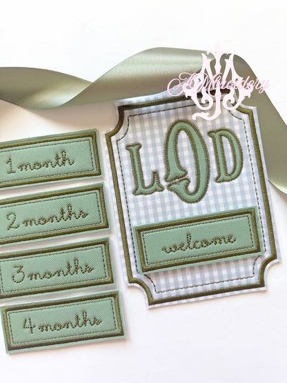 Milestone Card - Newborn-12 months