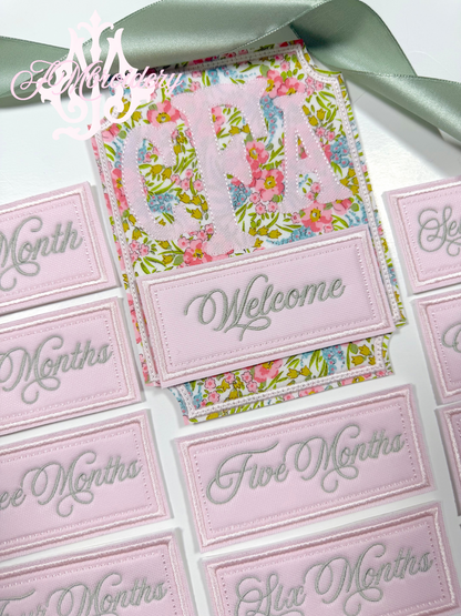 Milestone Card - Newborn-12 months
